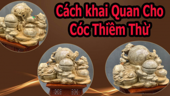 Các Bước Khai Quang Điểm Nhãn Cóc Thiềm Thừ